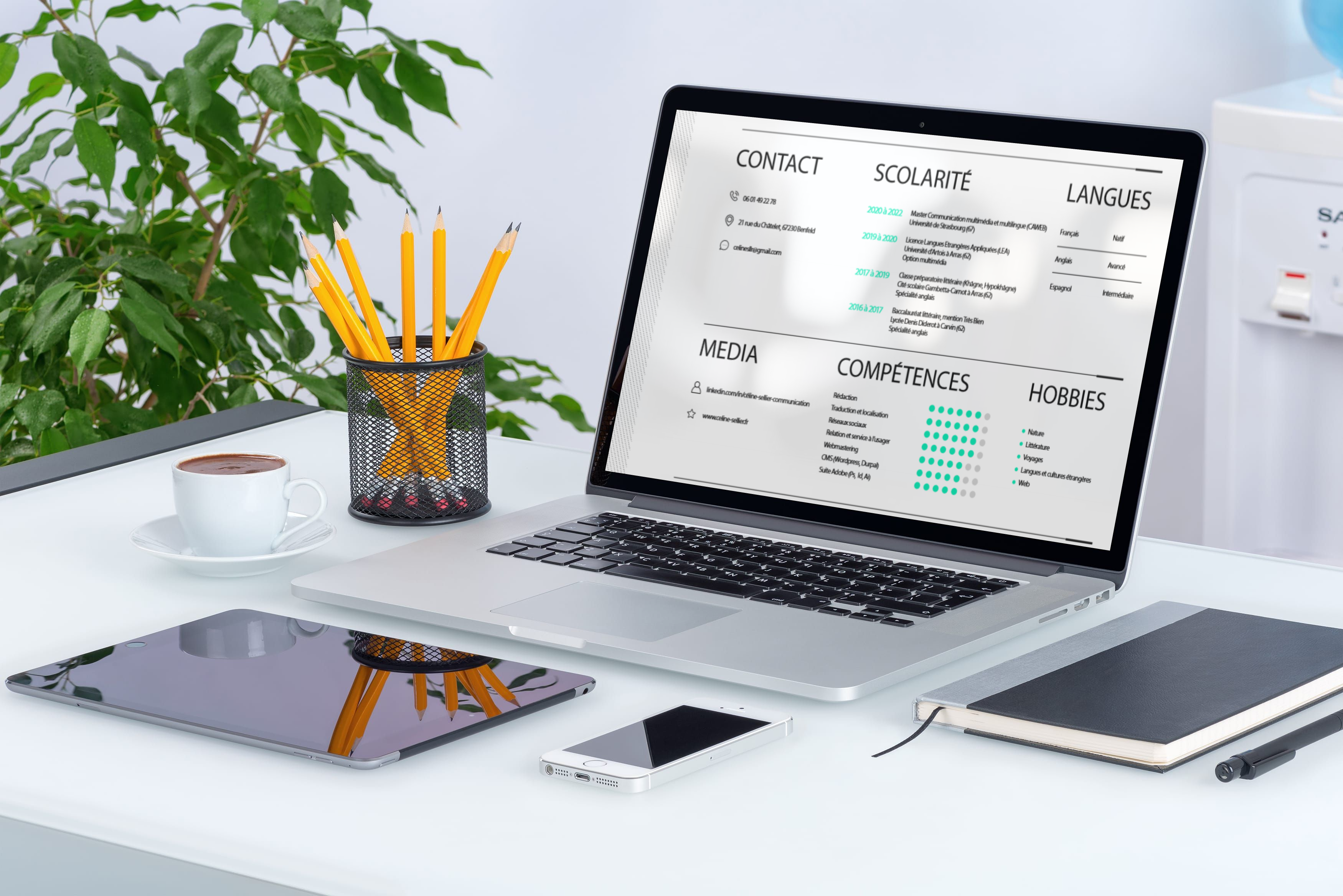 Visuel de la page "profil et compétences" représentant un écran sur lequel est affiché le CV de Céline Sellier